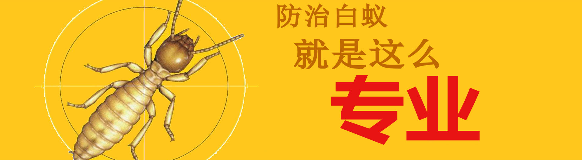 PC端幻灯二